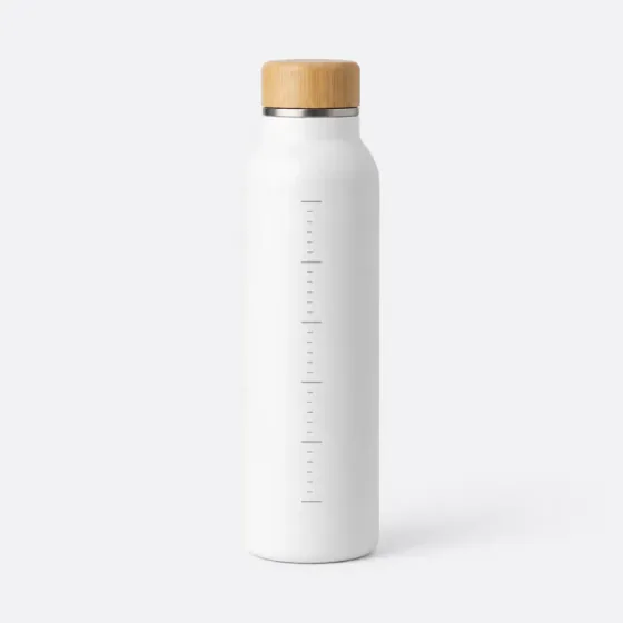 Insulated water bottle